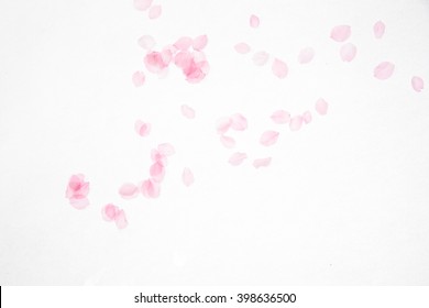 Cherry Blossom Petal Images Stock Photos Vectors Shutterstock