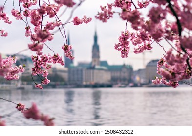 Hamburg kirschblütenfest
