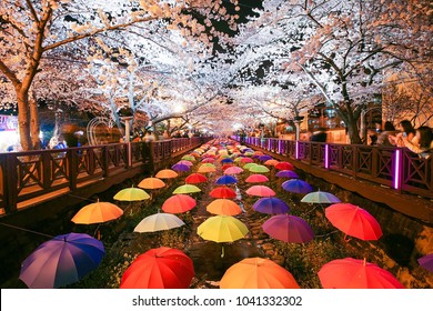 2,203 Japanese Umbrella Festival Images, Stock Photos & Vectors 