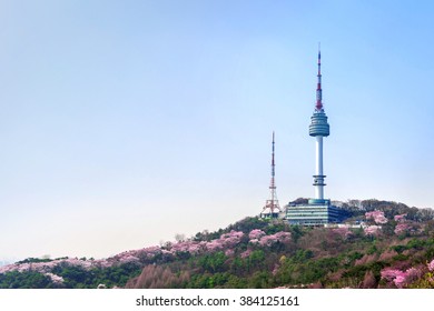 Cherry Blossom In Seoul Tower At Namhansan In Spring.