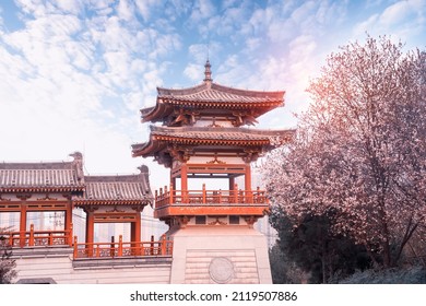 Cherry Blossom with traditional chinese roof in qing long temple,xi an,china.