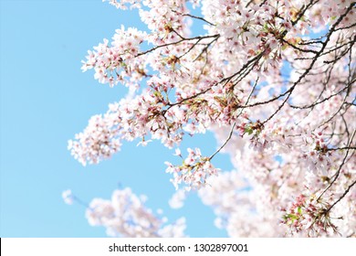 432 Hagley park Images, Stock Photos & Vectors | Shutterstock