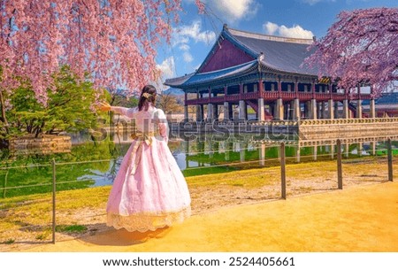 cherry blossom tree in spring time and a women wearing the South Korean national hanbok at Gyeongbokgung Palace.in seoul city of korea, south korea