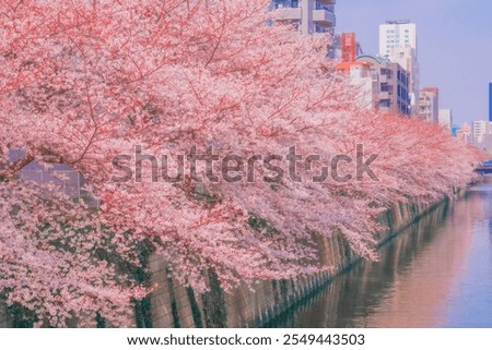 Similar – Image, Stock Photo Water surface in the fog