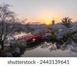 Cherry blossoms bloom in the East Lake Cherry garden in Wuhan, Hubei province