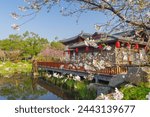 Cherry blossoms bloom in the East Lake Cherry garden in Wuhan, Hubei province