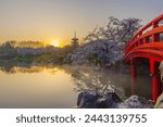 Cherry blossoms bloom in the East Lake Cherry garden in Wuhan, Hubei province