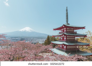 Cherry blossoms and Mount Fuji  - Powered by Shutterstock