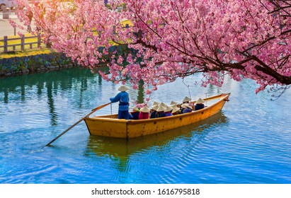 Cherry blossom.Tourist cruise on the canal around himeji castle in hyogo, Himeji-Jo Castle is famous travel spot in kansai area in Japan