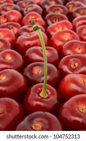 Cherry close-up