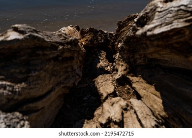 Cherry Creek Reservoir Colorado Park