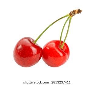 Cherry Fruit Pair Hanging Pose With Bright Red Isolated On White Background