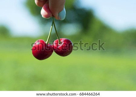 Similar – Image, Stock Photo Cherries in a double pack