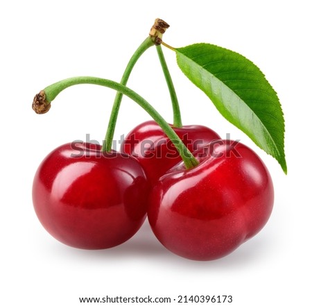 Cherry isolated. Cherries with leaf on white background. Three sour cherri on white. Cherry leaf. With clipping path. Full depth of field. Perfect not AI cherry, true photo.