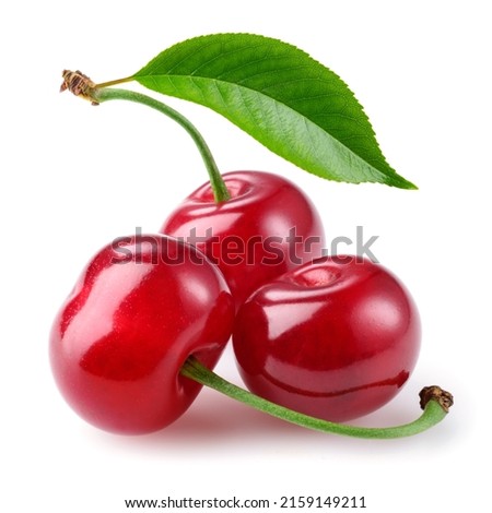 Cherry isolated. Cherries with leaf on white background. Three sour cherri on white. Cherry leaf. Full depth of field. Perfect not AI cherry, true photo.