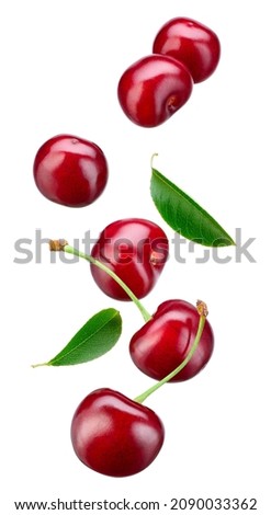 Cherry isolated. Falling sour cherries with leaves on white background. Flying cherry.