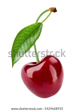 Cherry isolated. Cherry with leaf on white background. Green leaf. With clipping path. Perfect not AI cherry, true photo.