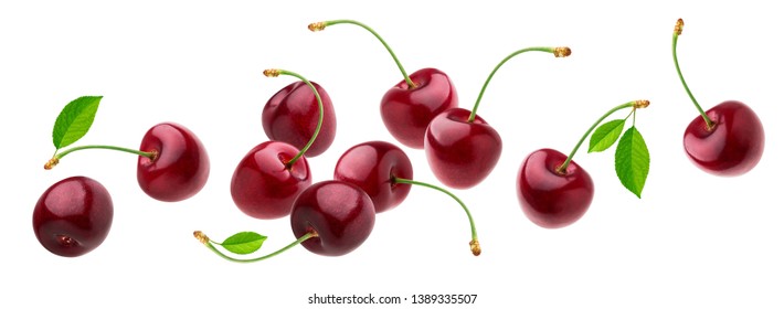 Cherry isolated on white background with clipping path, fresh cherries with stems and leaves, berry collection