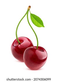 Cherry Isolated On White Background With Clipping Path