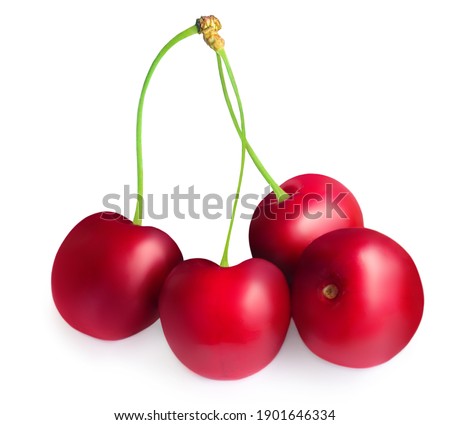 Cherry isolated on white background.  Fresh Cherry berry closeup