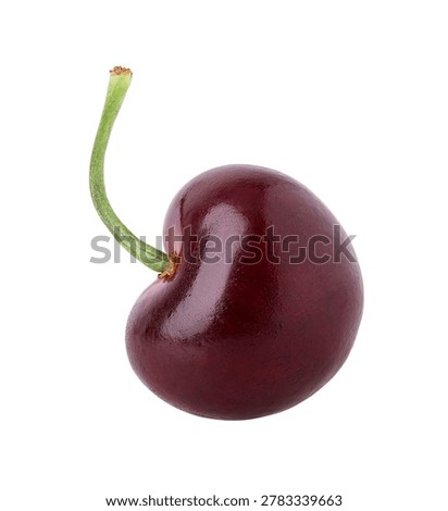 cherry isolated on a white background, clipping path