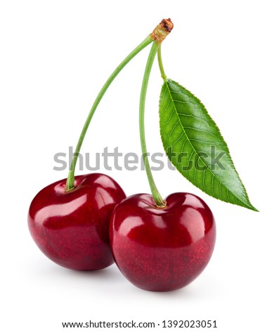 Cherry isolated. Cherry on white. Cherries. With clipping path.