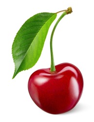 Cherry Isolated. One Cherry With Leaf On White Background. Sour Cherri On White. With Clipping Path. Full Depth Of Field. Perfect Not AI Cherry, True Photo.