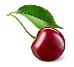 Cherry Isolated. One Cherry With Leaf On White Background. Sour Cherri On White. With Clipping Path. Full Depth Of Field.