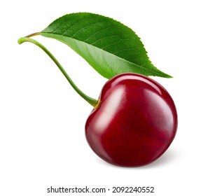 Cherry isolated. One cherry with leaf on white background. Sour cherri on white. With clipping path. Full depth of field.
