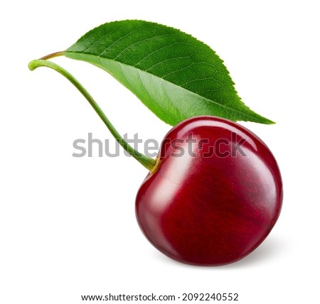 Cherry isolated. One cherry with leaf on white background. Sour cherri on white. With clipping path. Full depth of field.