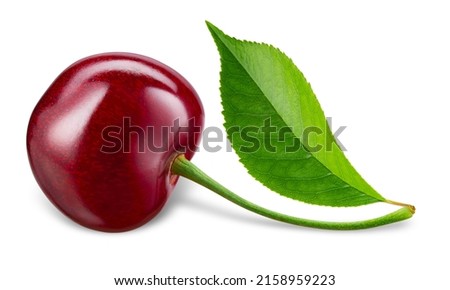 Cherry isolated. One cherry with leaf on white background. Sour cherri on white. With clipping path. Full depth of field.