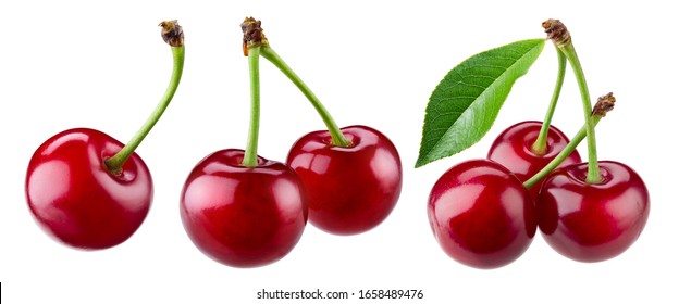 Cherry isolated. Sour cherry. Cherries with leaves on white background. Sour cherries on white. Cherry set. - Powered by Shutterstock