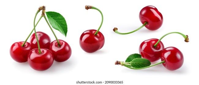 Cherry isolated. Sour cherry collection. Cherries with leaves on white background. Sour cherri set. - Powered by Shutterstock