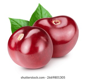 Cherry leaf isolated on white. Cherry Clipping Path. Cherry studio macro shooting