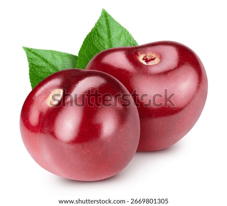 Cherry leaf isolated on white. Cherry Clipping Path. Cherry studio macro shooting