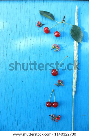 Similar – Wallflower. Fruit