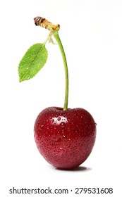 Cherry On White Background