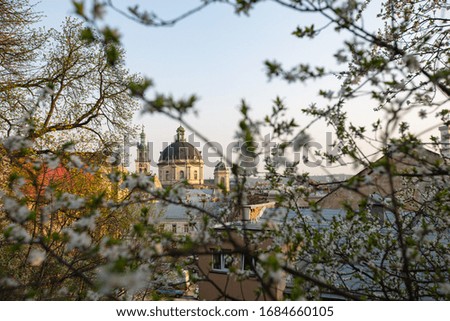 Similar – Dresden im Frühling