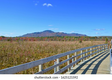 Cherry River Swamp Magog Quebec