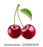 Cherry with stem and leaf isolated on white background. 