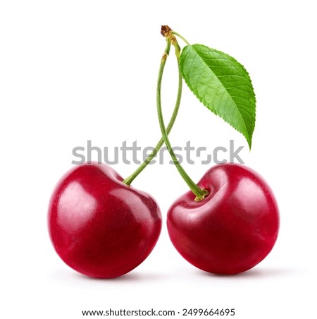 Cherry with stem and leaf isolated on white background. 
