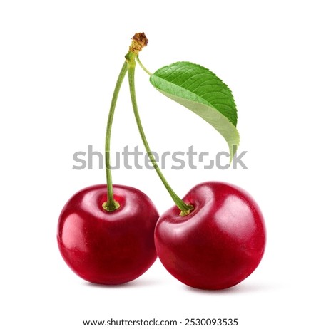 Cherry with stem and leaf isolated on white background. 