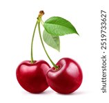 Cherry with stem and leaves isolated on white background. 