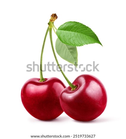 Cherry with stem and leaves isolated on white background. 