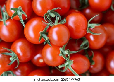 Cherry tomato pattern. Cherry tomatoes on the whole screen. Small red tomatoes close up.