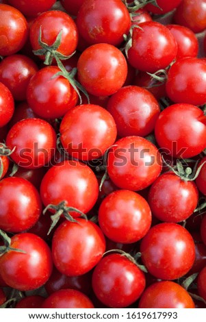 Cherry tomato, vegetable background design, top view. Soft focus, blur.