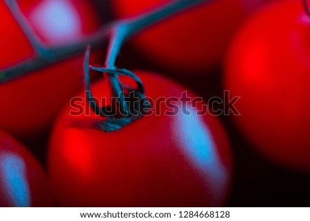 Image, Stock Photo #A# Red on style Nature