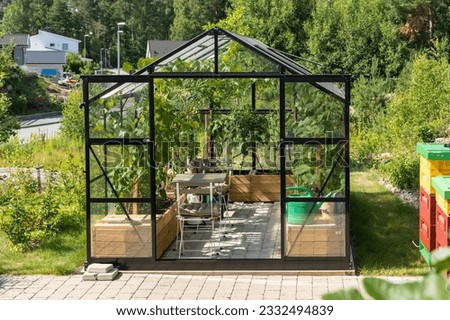 Cherry tomatoes and cucumbers. Varietal mini tomatoes cucumbers grow in greenhouse. Vegetable garden in glass house in the garden yard near the villa. Pots with green vegetables for food. 