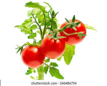 Cherry tomatoes. Ripe red mini tomatoes.Natural vegetable.
