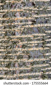 Cherry Tree Bark Background